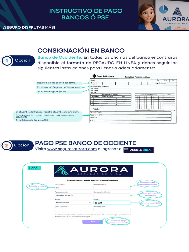 Instructivo Formas de Pago AP Uis - Primer Semestre 2026 | PDF ...