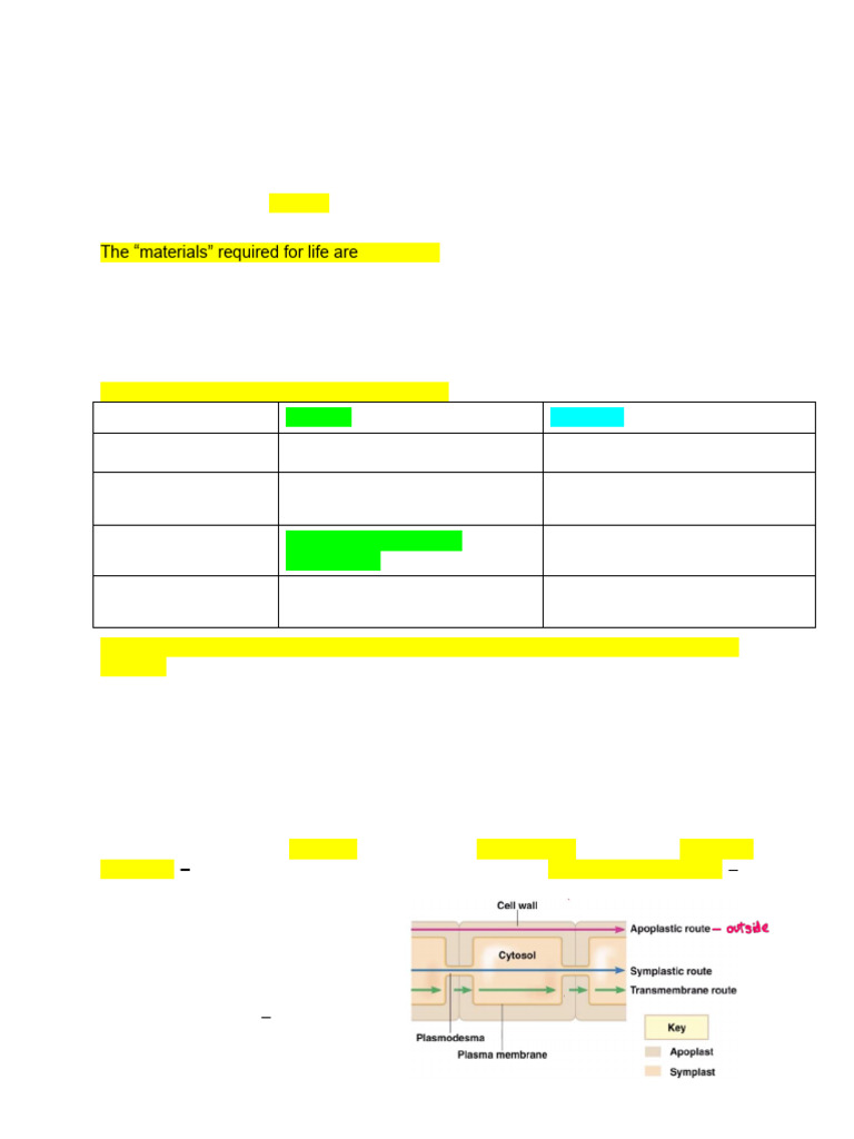 Chapter 36 | PDF | Botany | Plant Physiology