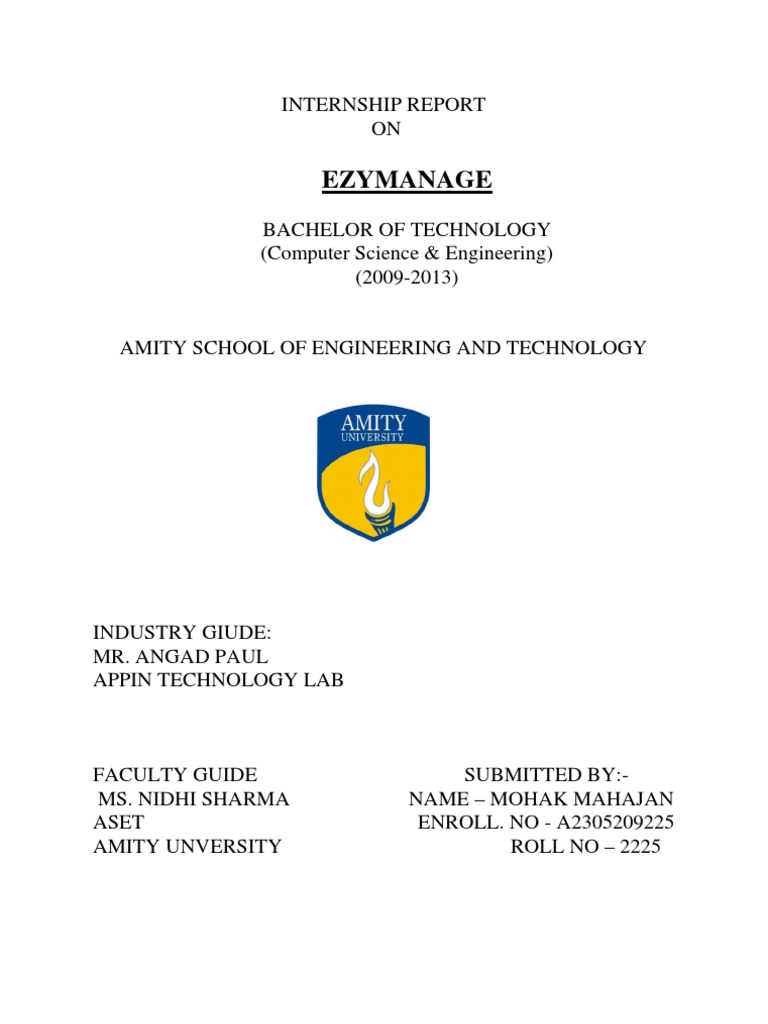 Report M | PDF | Web Application | Java (Programming Language)