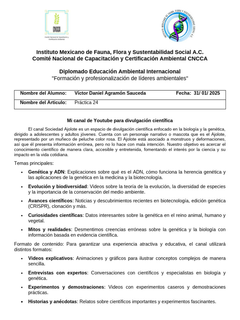 Práctica 24 | PDF