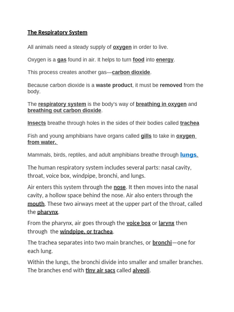 The Respiratory System - Summer Programme 2020 - Copy | PDF
