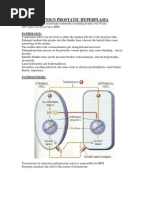 Download Benign Prostatic Hyperplasia by terry SN10349357 doc pdf