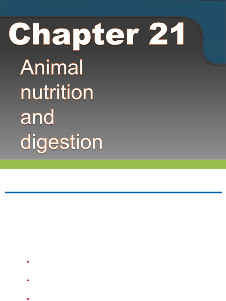 11-Animal Nutrition and Digestion | PDF | Digestion | Human Digestive ...
