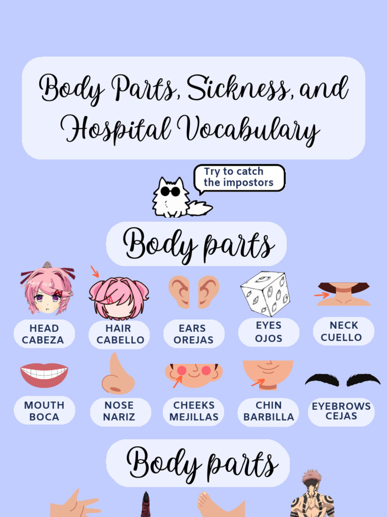 _body parts and sickness val (3) | PDF | Diseases And Disorders ...