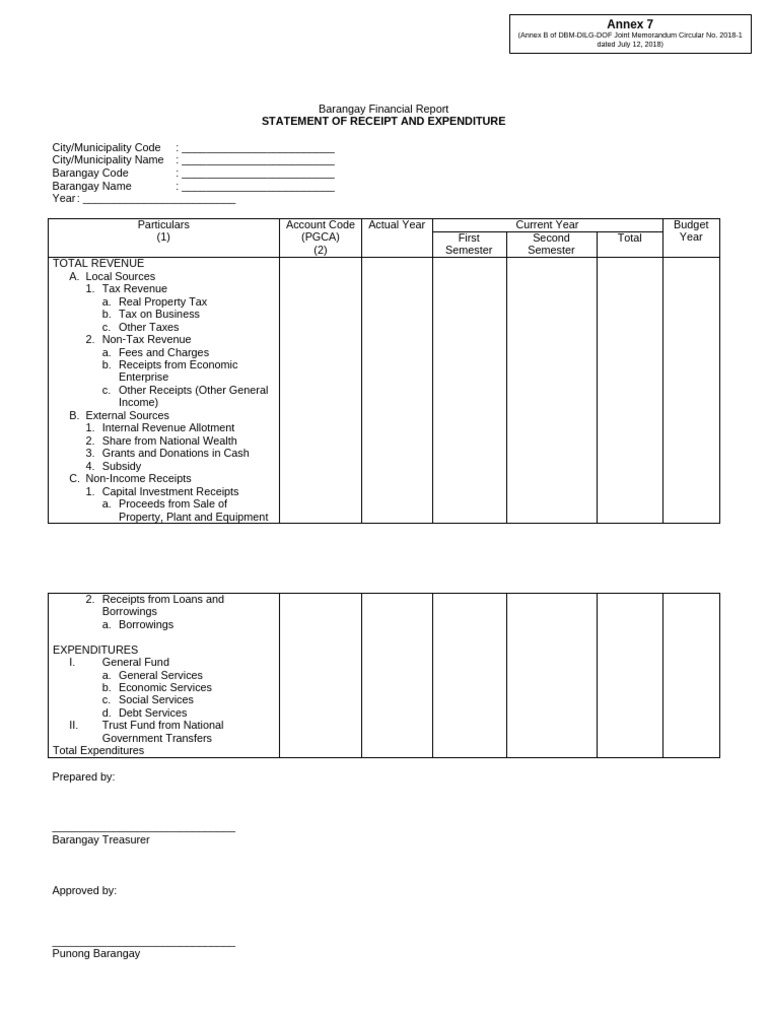 BFDP 7 Barangay Financial Report | PDF