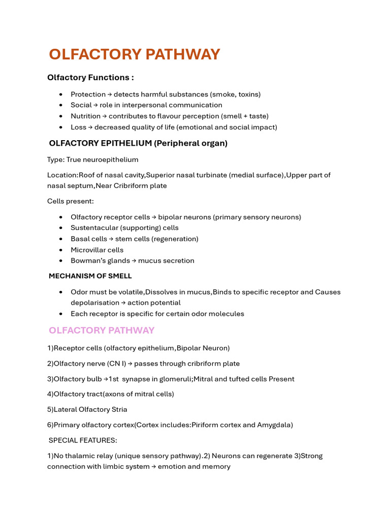 Olfactory Pathway & Lupus Vulgaris | PDF | Olfactory System | Olfaction