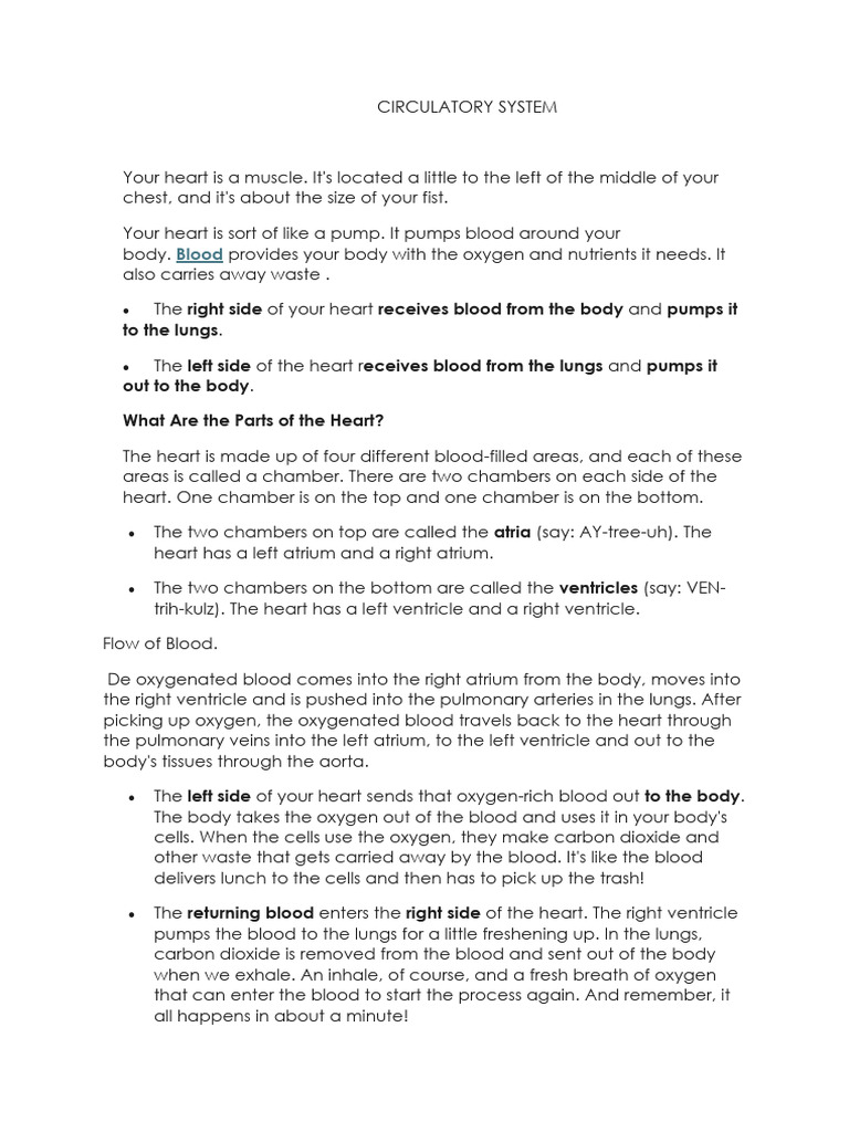 CIRCULATORY SYSTEM worksheet | PDF | Heart | Atrium (Heart)