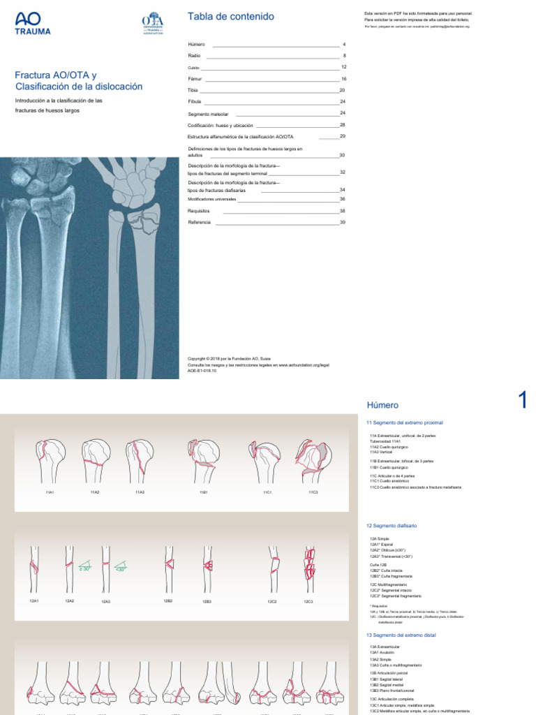AOOTA Classification 2018 Classification Brochure 2107071005 | PDF ...
