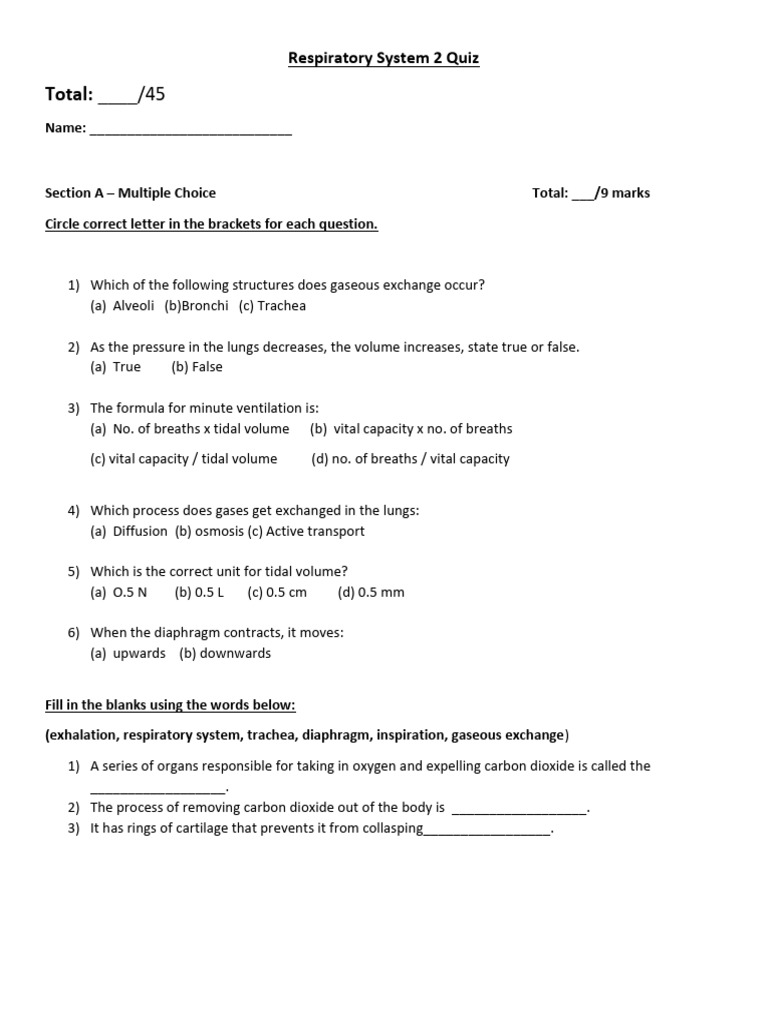 Chapter 2 Respiratory System Quiz | PDF