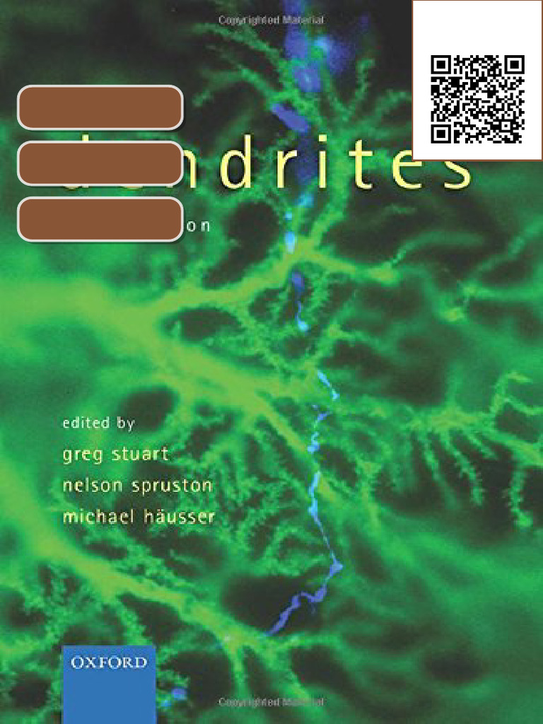 Ebook Dendrites 3rd Edition Greg Stuart | PDF | Dendrite | Neuron