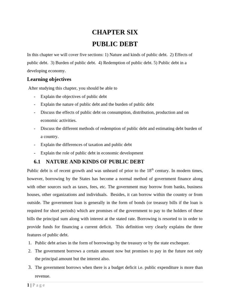Chapter Six | PDF | Debt | Taxes
