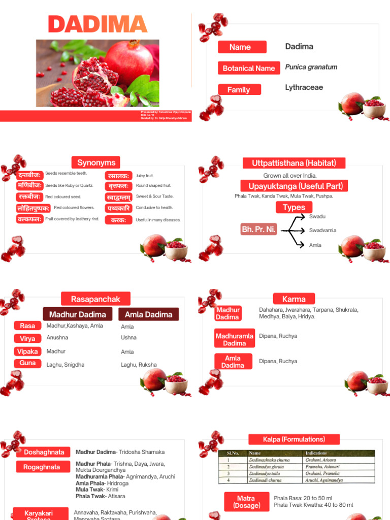 Dadima PA 5 Activity Roll No.12 | PDF | Seed | Fruit