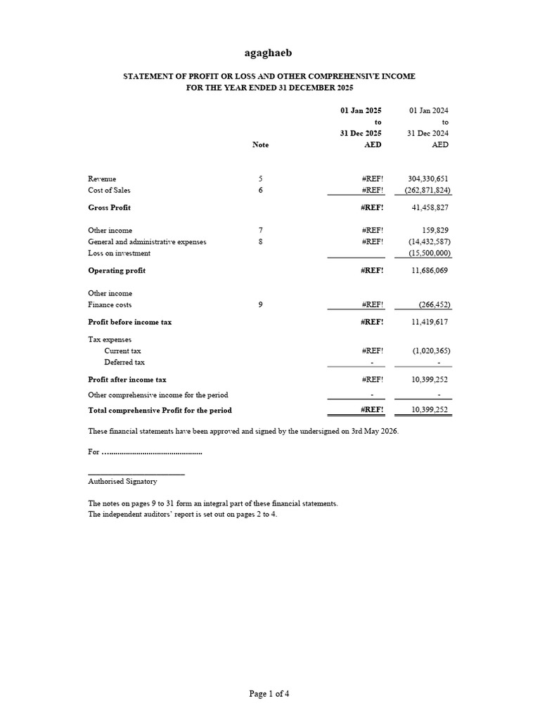 Freezone Company FS Format | PDF | Equity (Finance) | Balance Sheet