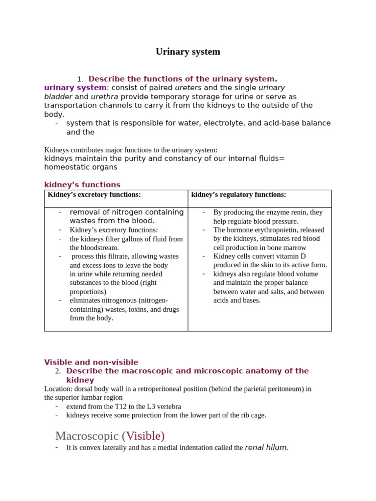 Urinary System Notes | PDF | Kidney | Angiotensin