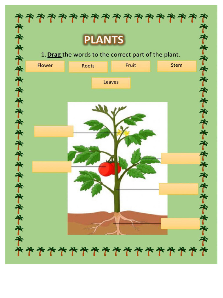 Worksheet 309897 | PDF