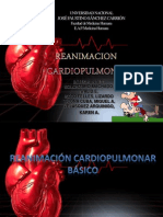 seminario RCP