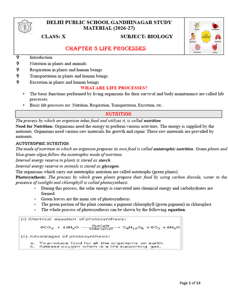 Class 10 Chp 5 Life Processes _study Material_2026-27 | PDF | Nutrition ...