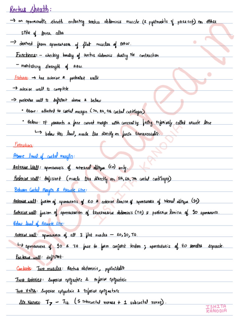 Rectus Sheath Incisions Hernia | PDF