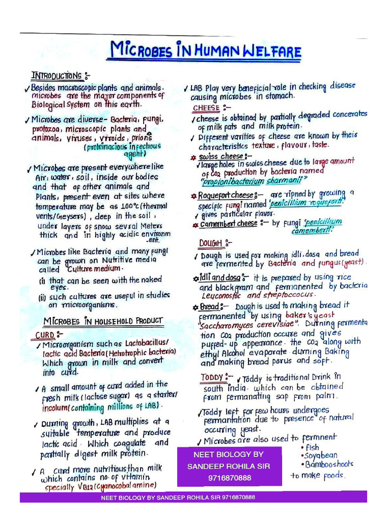 Microbes in Human Welfare by Sandeep Rohila Sir | PDF