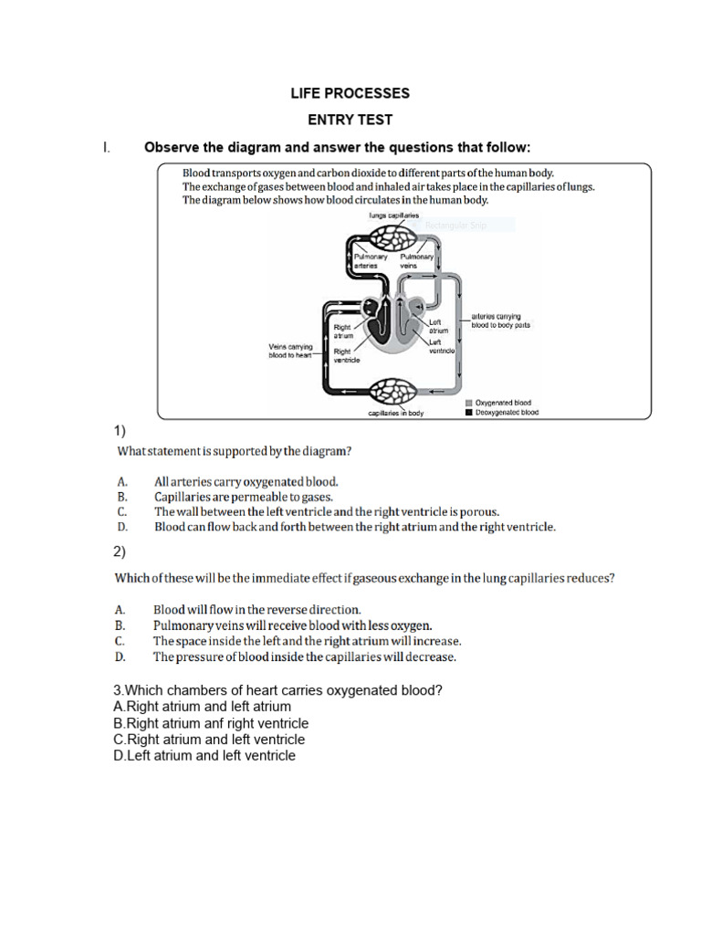 Entry Test Life Processes 2 | PDF