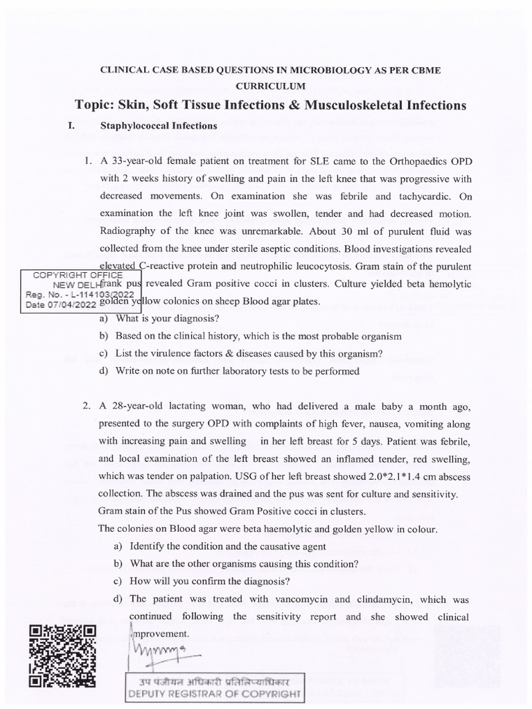 SSTI Important Questions | PDF