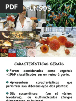 FUNGOS