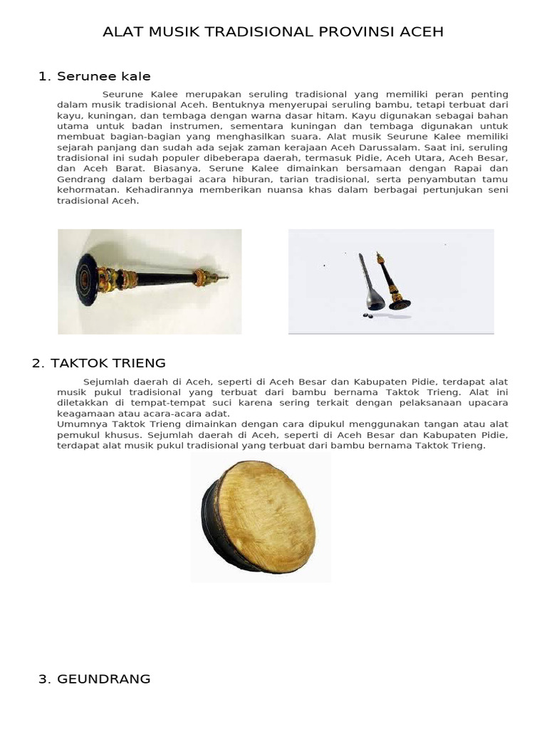 Alat Musik Tradisional Provinsi Aceh | PDF