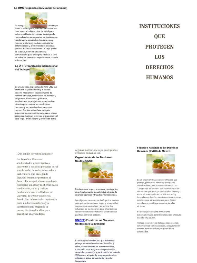 Instituciones Que Protegen Los Derechos Humanos | PDF | Derechos ...