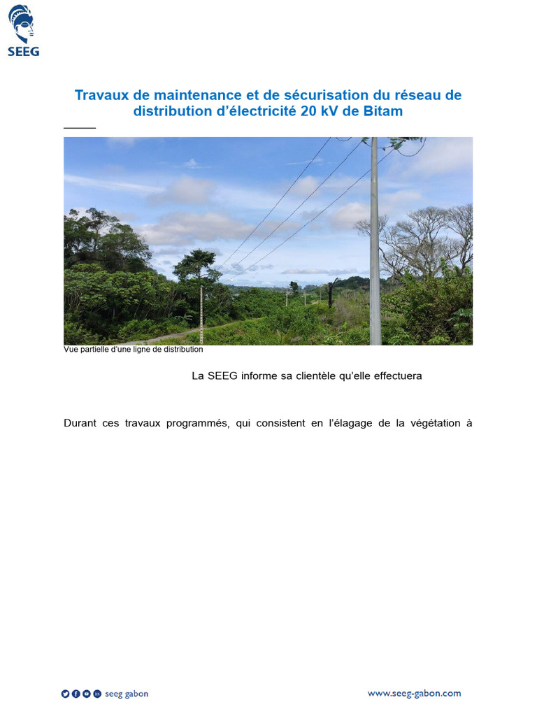C - P Travaux de Maintenance Et de Sécurisation Du Réseau de ...