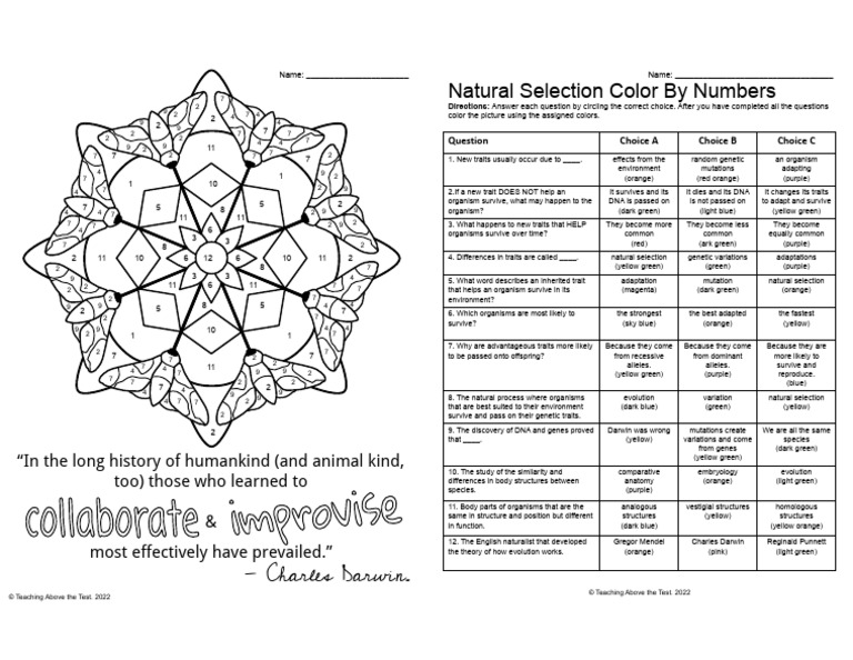 Natural Selection Color by Numbern 2on 1 | PDF | Natural Selection ...
