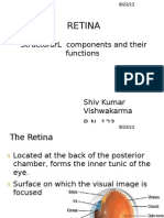 Retina: Structurarl Components and Their Functions