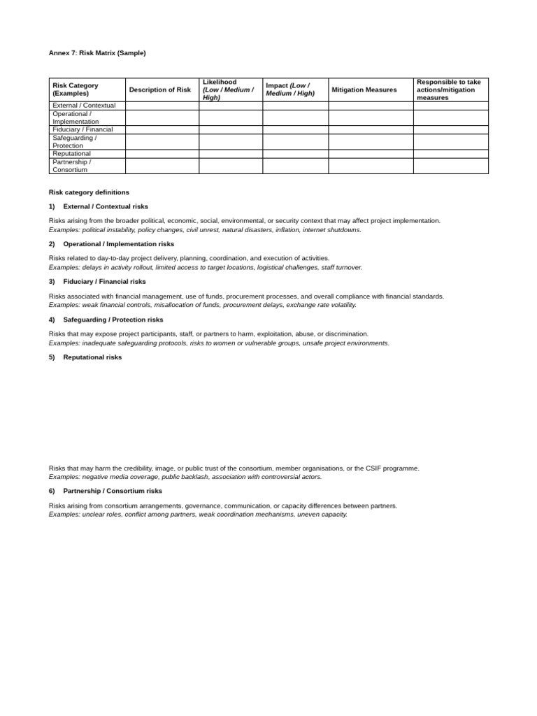 Annex 7-Risk Matrix Template | PDF