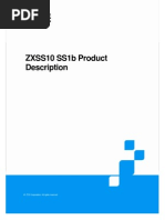 ZXSS10 SS1b Product Description