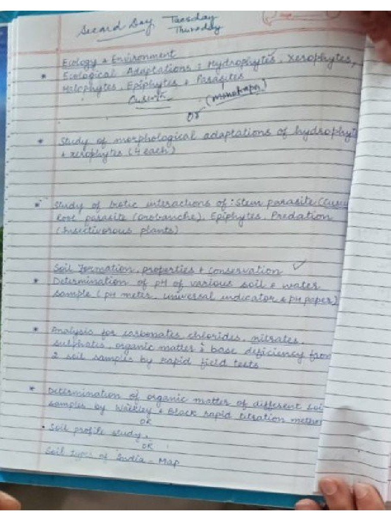 Botany Practical Notebook (2nd Day) | PDF