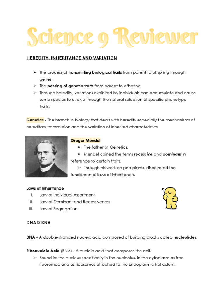 Science 1st Quarter Reviewer | PDF | Rna | Dna