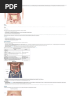 Abdominal Exam Techniques for Appendicitis | PDF