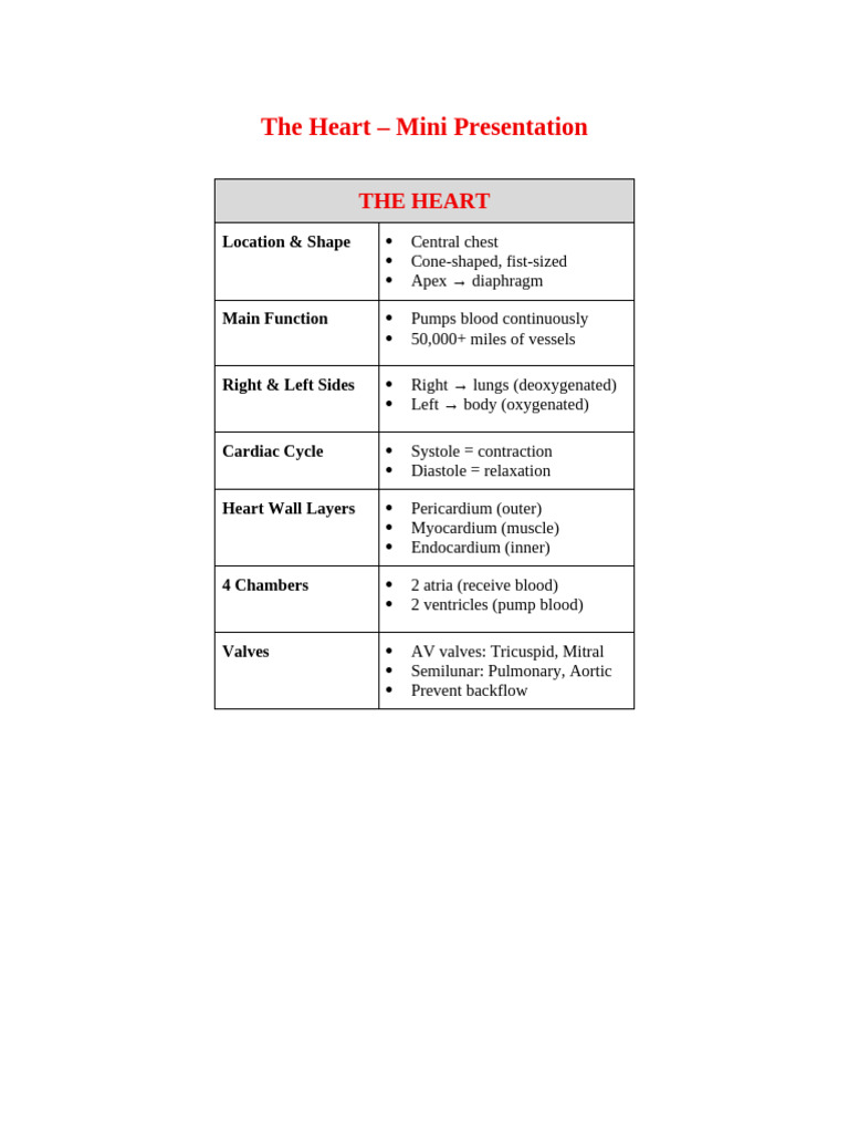 The Heart Mini Presentation Handout | PDF