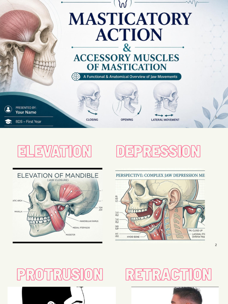 Actions and Accessory Muscles Ppt | PDF | Human Anatomy | Human Head ...