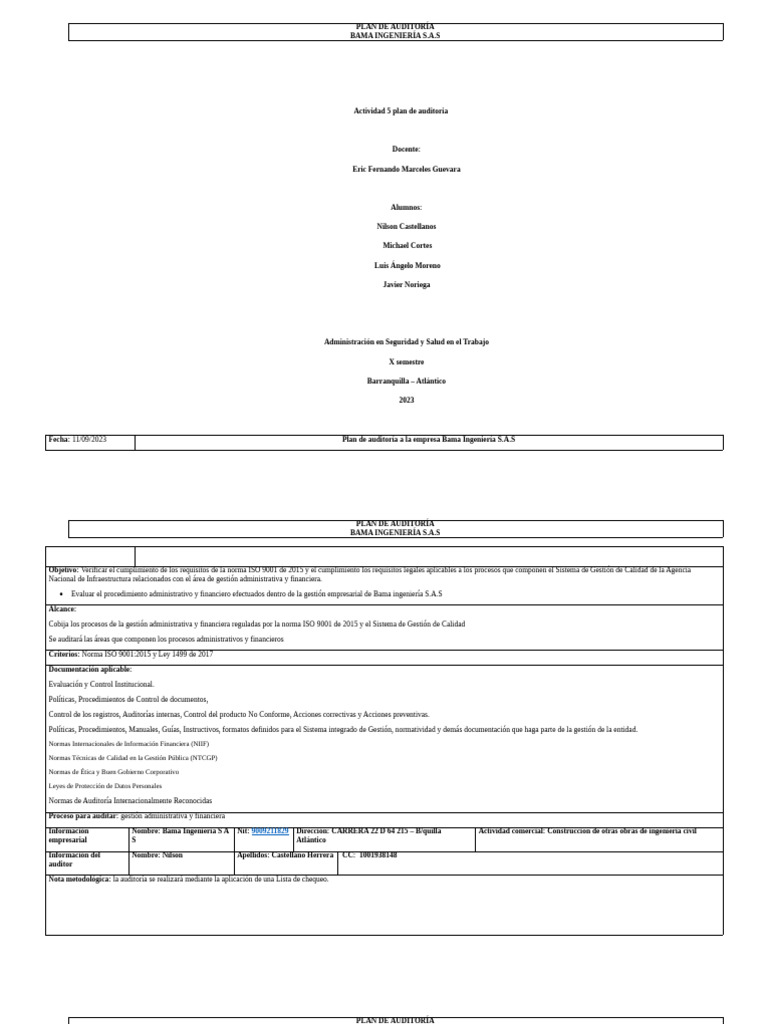 Plan Auditor 2 | PDF | Sistema de manejo de calidad | Toma de decisiones