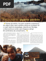 Em busca do gigante perdido