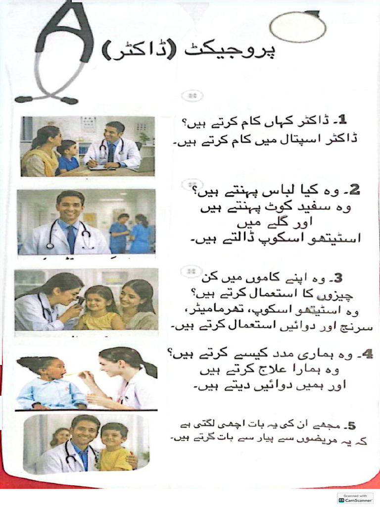 Y3 Test 4 Different Professions Projects | PDF