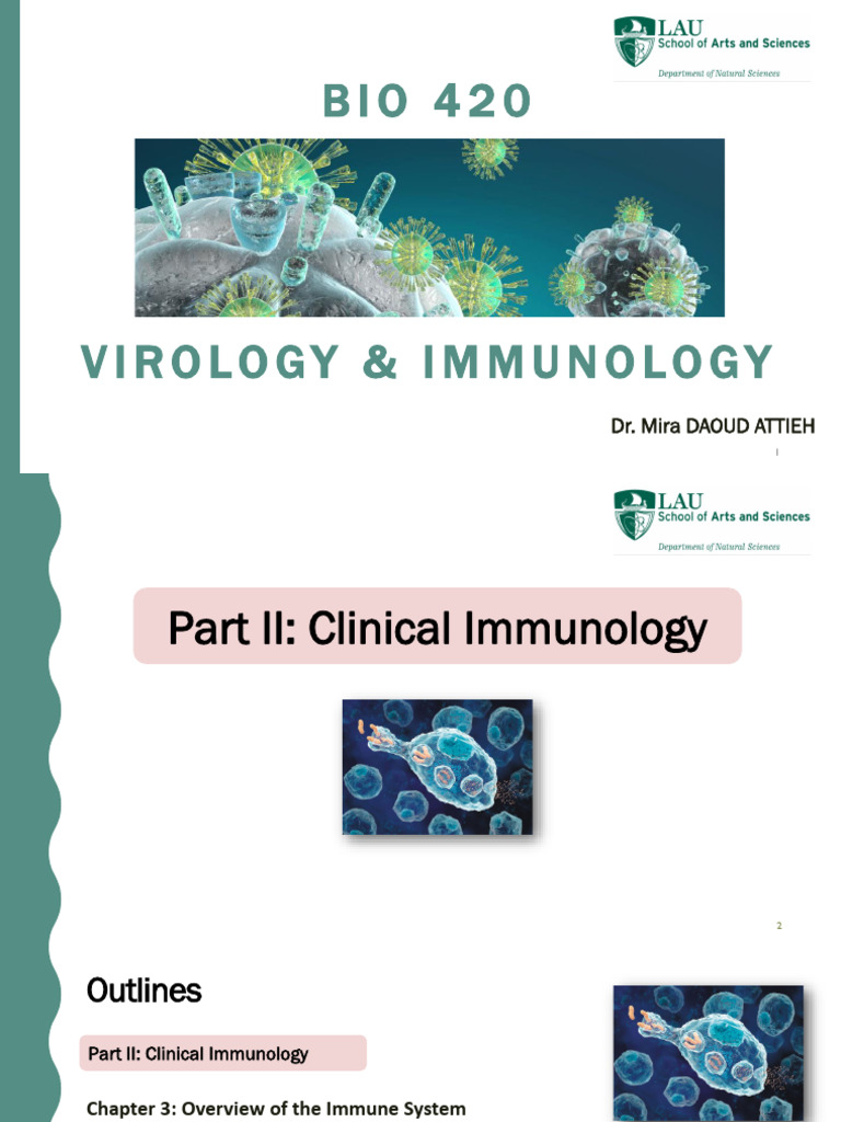 Chapter 3 - Overview of the Immune System | PDF | Lymphatic System ...