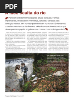 A face oculta do rio