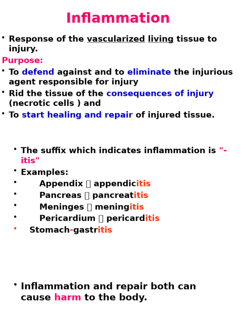 Inflammation Class | PDF | Inflammation | Macrophage