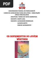 O Sofrimento Do Jovem Werther