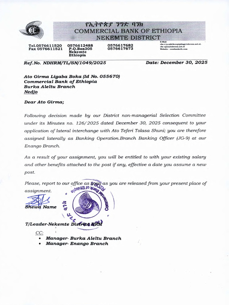 Ato Girma Ligaba Boka | PDF