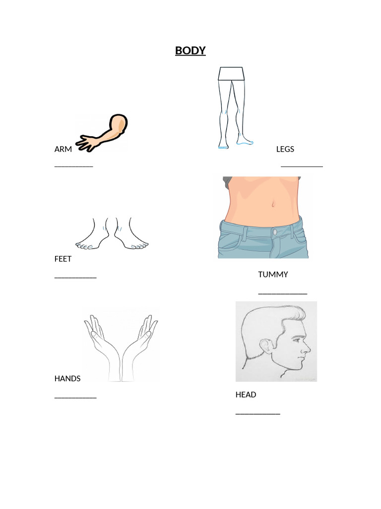 Body | PDF
