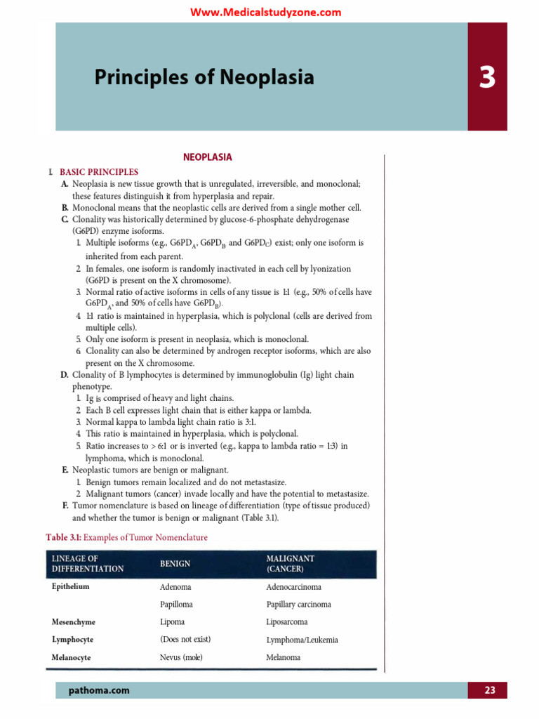Pathoma 2023-31-38 (2) | PDF