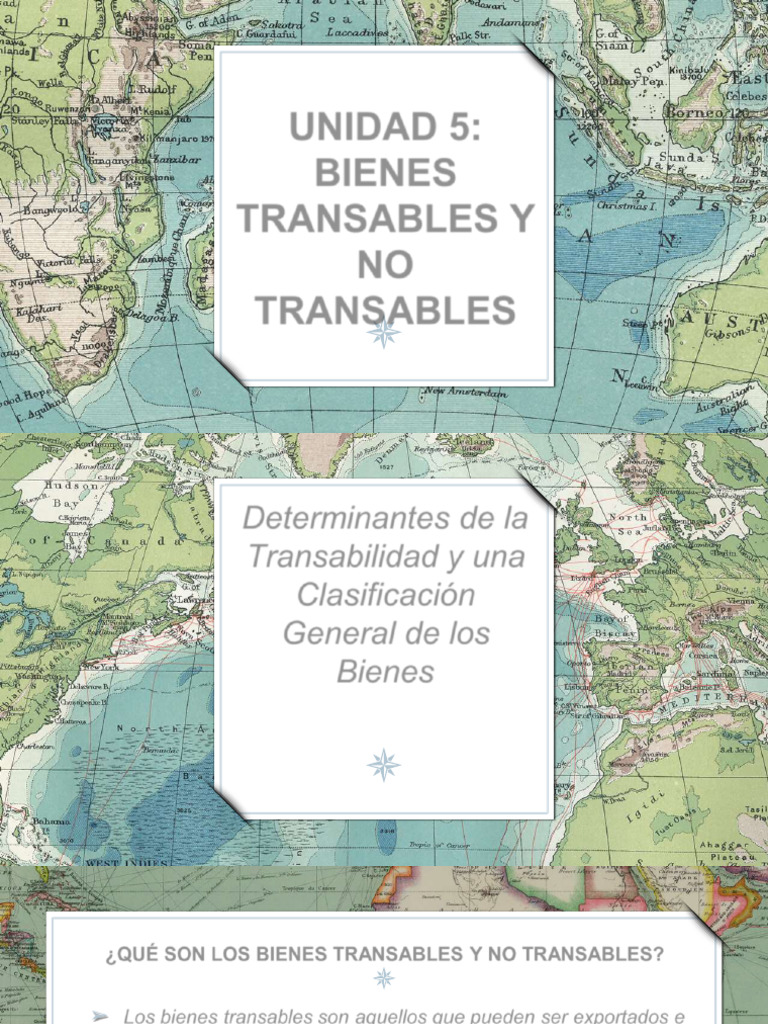 Tema #5 Bienes Transables y No Transables | PDF | Costo de la vida | Bienes