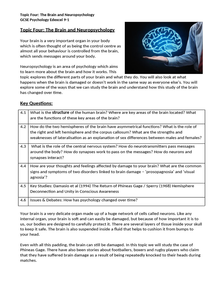 Brain and Neuropsychology Revision Student Booklet | PDF | Nervous ...